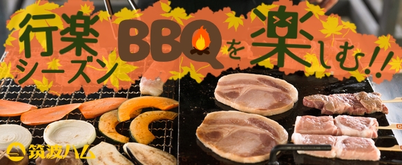 夏のBBQ BBQ 肩ロースハム ハムステーキ 筑波ハム