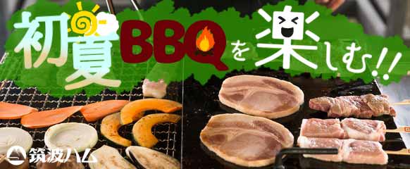 春のBBQ BBQ 肩ロースハム ハムステーキ 筑波ハム
