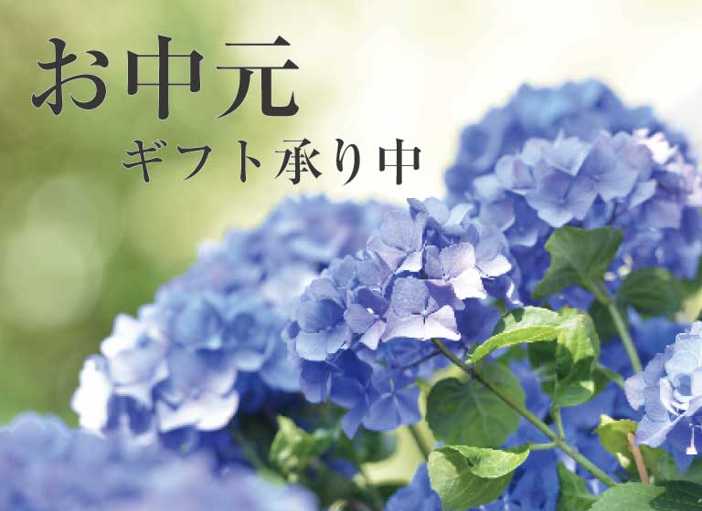 summergift_768.jpg