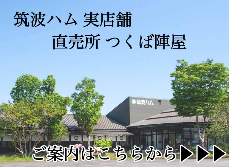 jinya_001.jpg