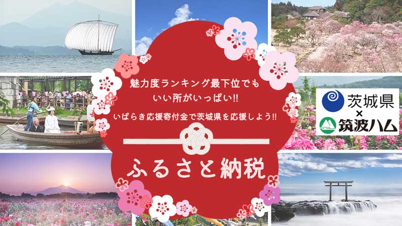 茨城県 ふるさと納税