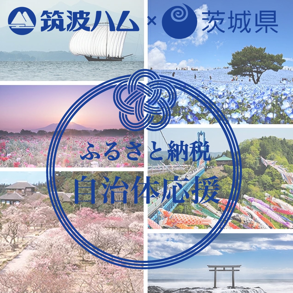 茨城県 ふるさと納税