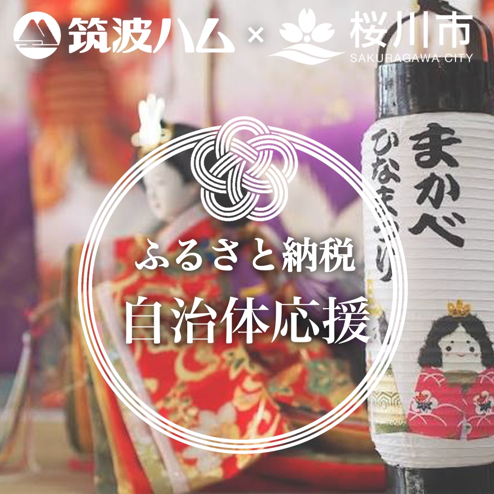 桜川市 ふるさと納税