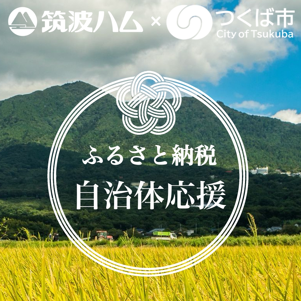 つくば市 ふるさと納税