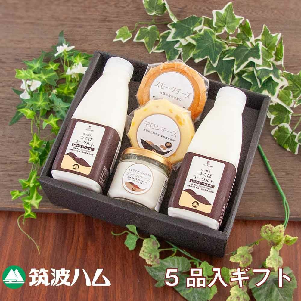 つくばドッグミルク 2袋セット 楽天市場】つくば保健食品 つくばドッグミルク 1kg（子犬用 粉ミルク