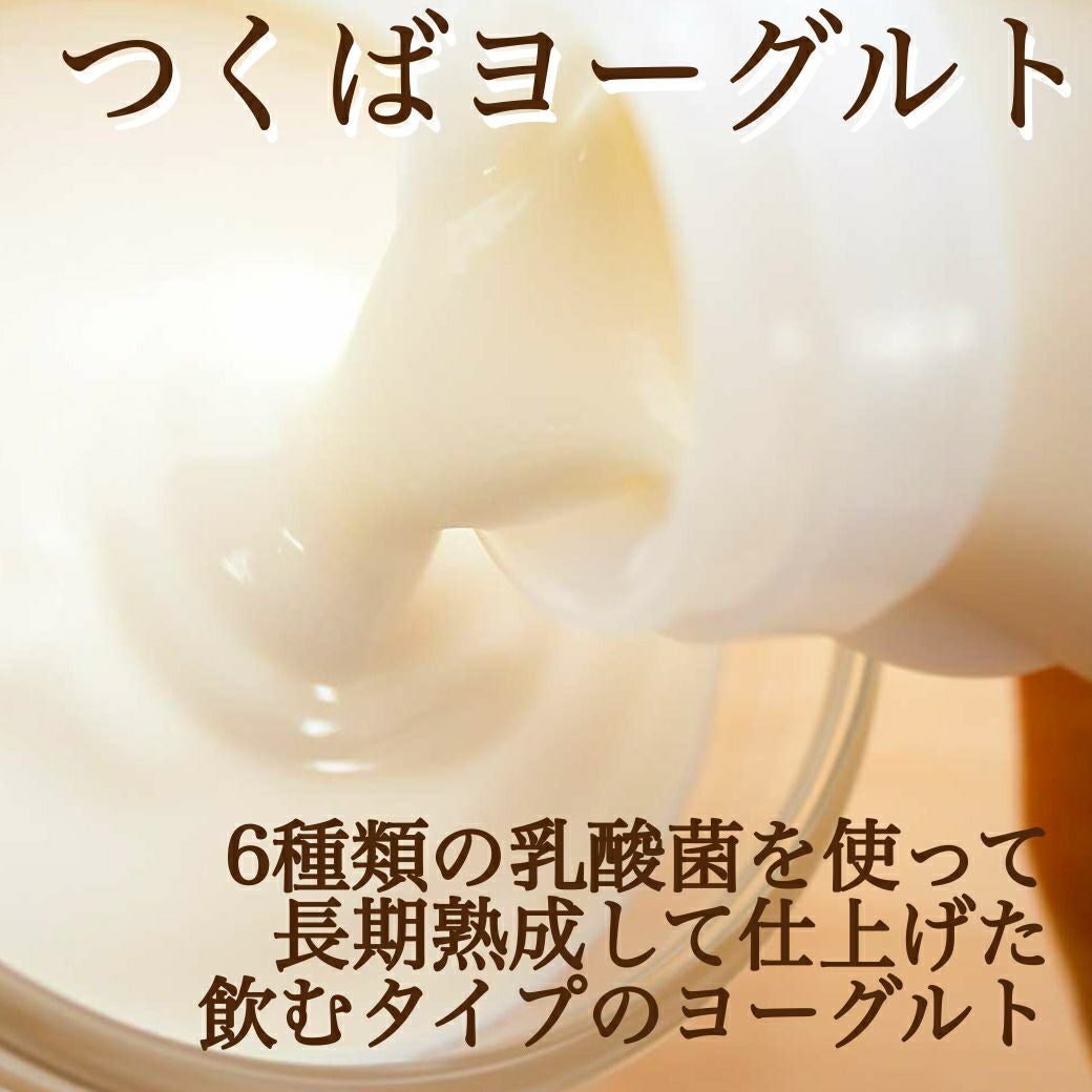 つくばヨーグルト　ギフト