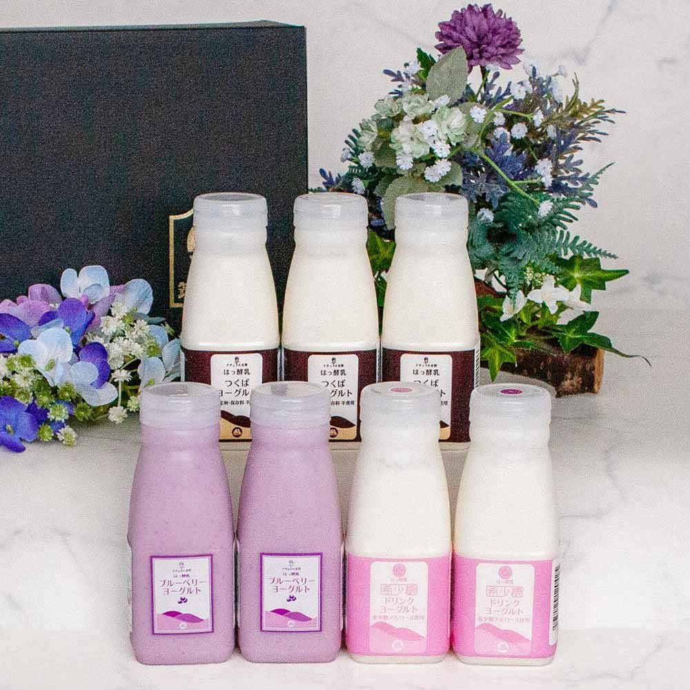 お中元ギフトセット すいれん