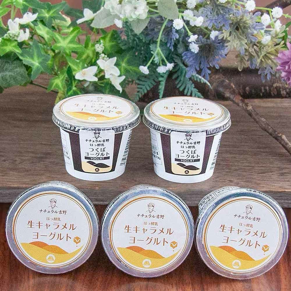 生キャラメルヨーグルト5個パック